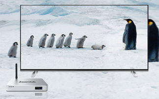 公司官網產品圖